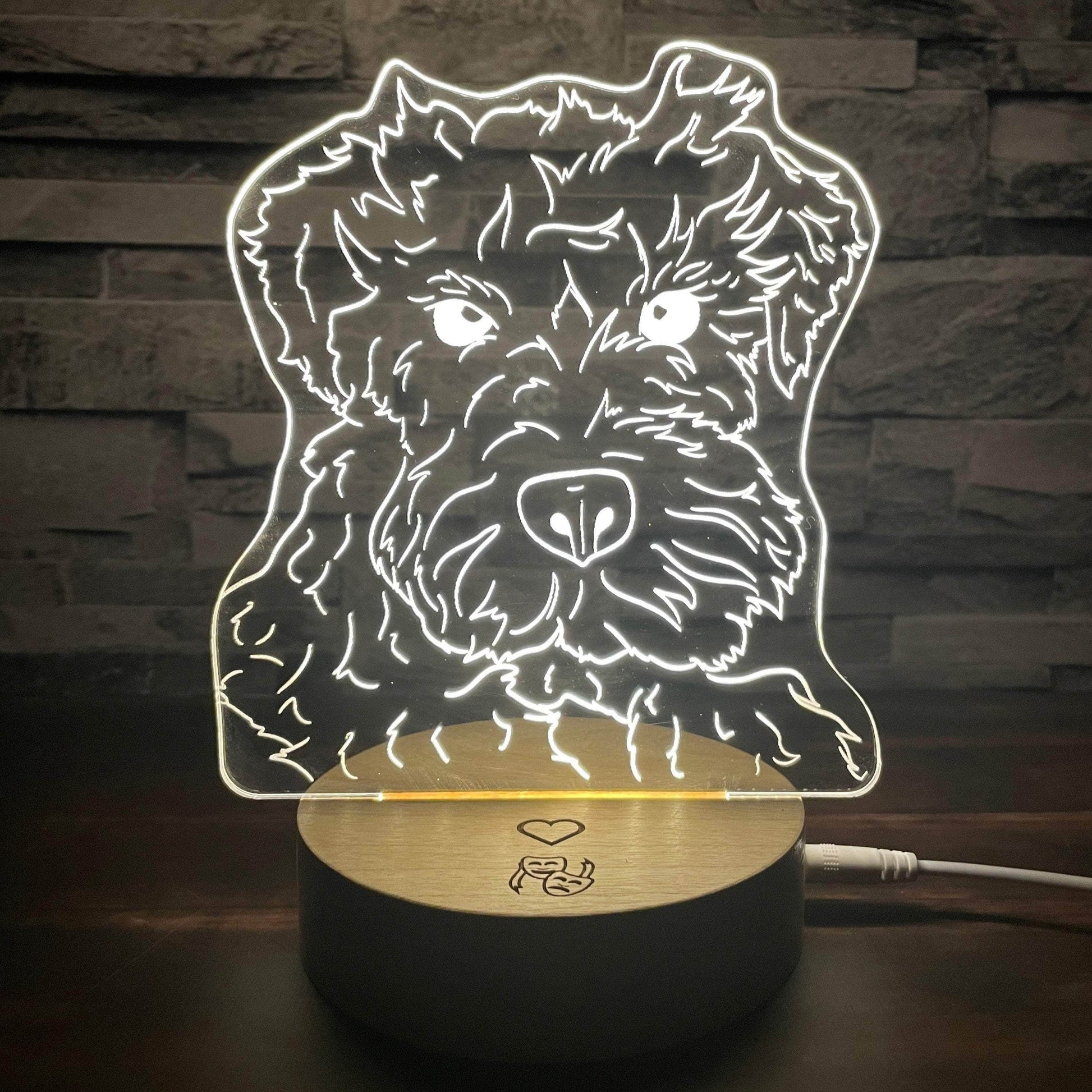 Lámpara Personalizada Lámpara dibujo de mascota lámparas